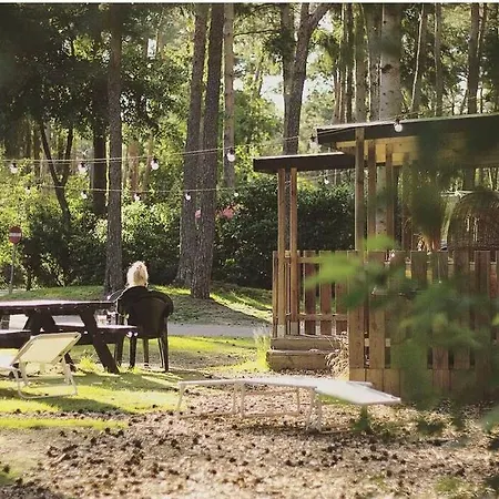 Apartamento Casa Veluwe. Genieten In Een Sfeervolle Design Casa Midden In De Prachtige Natuur. Doornspijk